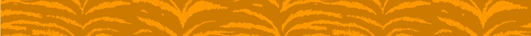 Motif-rayures-tigre
